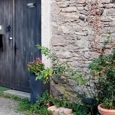 Chemin Des Ecoliers 2 Chambres Doubles Soueich Zewnętrze zdjęcie